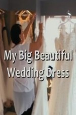 My Big Beautiful Wedding Dress