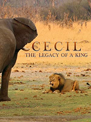 Cecil: The Legacy Of A King