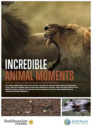 Incredible Animal Moments