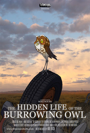 The Hidden Life Of The Burrowing Owl (short 2008)
