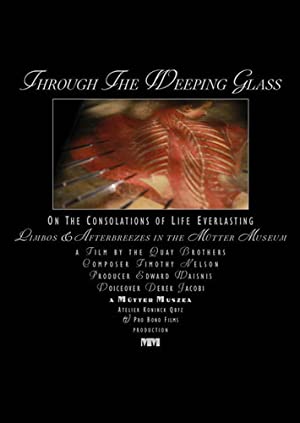 Through The Weeping Glass: On The Consolations Of Life Everlasting