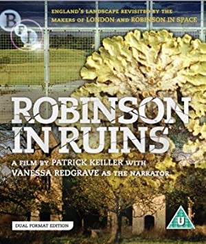Robinson In Ruins