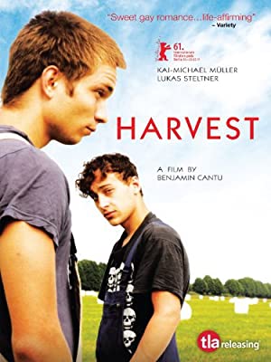 Harvest 2011