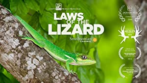 Laws Of The Lizard