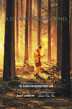 A Journey Through Pines