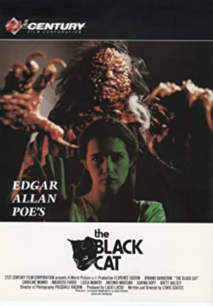 The Black Cat (1991)