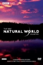 Natural World: Season 34